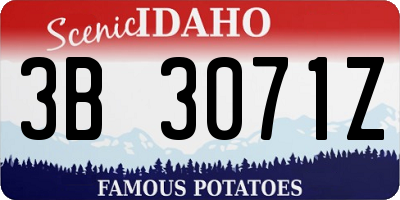 ID license plate 3B3071Z
