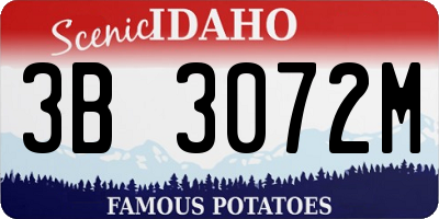 ID license plate 3B3072M