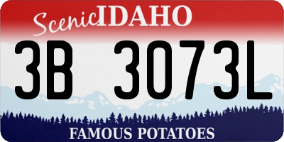 ID license plate 3B3073L