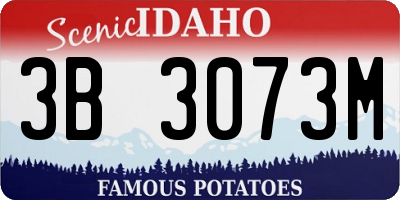 ID license plate 3B3073M