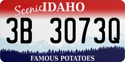 ID license plate 3B3073Q