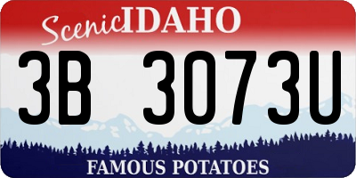 ID license plate 3B3073U