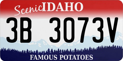 ID license plate 3B3073V