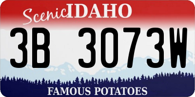 ID license plate 3B3073W