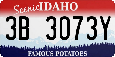 ID license plate 3B3073Y