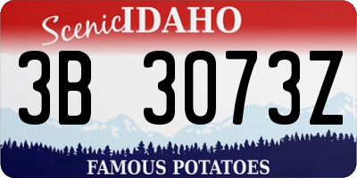 ID license plate 3B3073Z