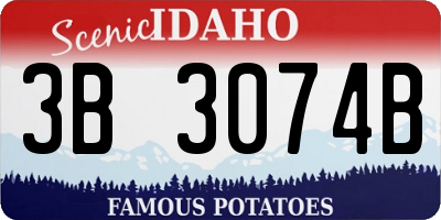ID license plate 3B3074B
