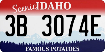 ID license plate 3B3074E
