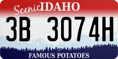 ID license plate 3B3074H