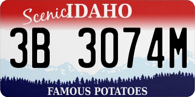 ID license plate 3B3074M