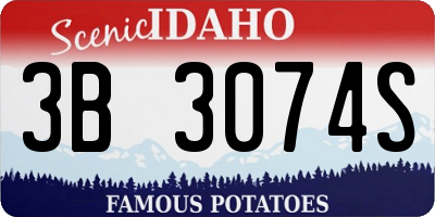 ID license plate 3B3074S