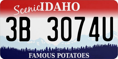 ID license plate 3B3074U