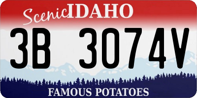ID license plate 3B3074V