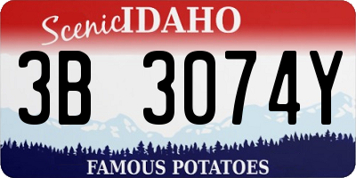 ID license plate 3B3074Y