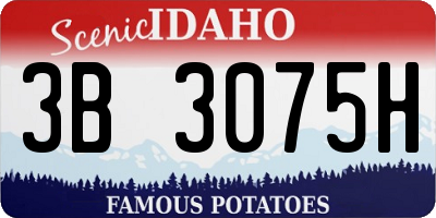 ID license plate 3B3075H