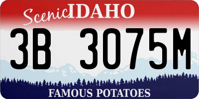 ID license plate 3B3075M