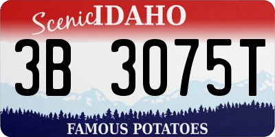 ID license plate 3B3075T