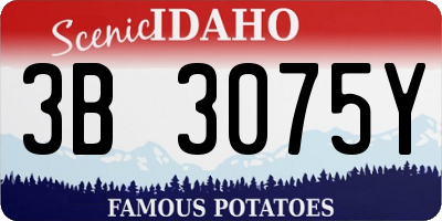ID license plate 3B3075Y