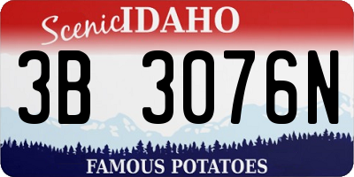 ID license plate 3B3076N