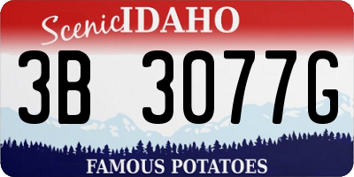 ID license plate 3B3077G