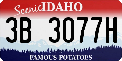 ID license plate 3B3077H