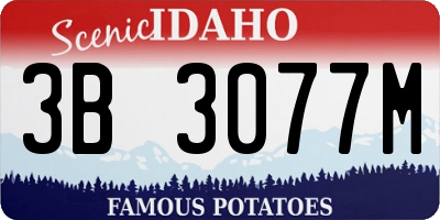 ID license plate 3B3077M