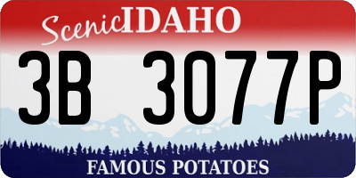 ID license plate 3B3077P