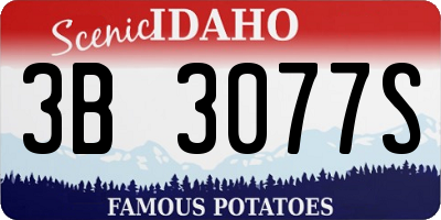 ID license plate 3B3077S