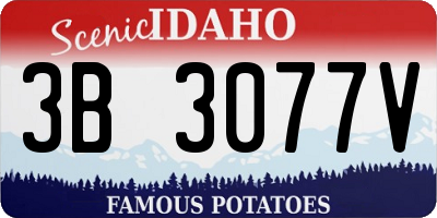 ID license plate 3B3077V