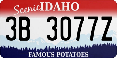 ID license plate 3B3077Z