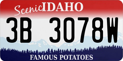 ID license plate 3B3078W