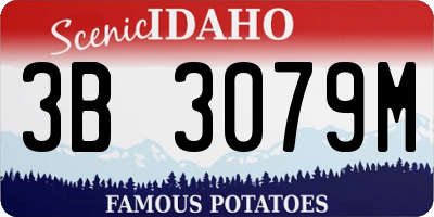 ID license plate 3B3079M