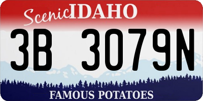 ID license plate 3B3079N
