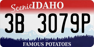 ID license plate 3B3079P