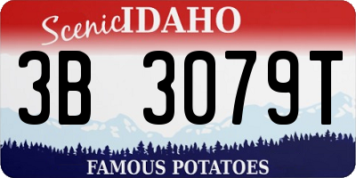ID license plate 3B3079T