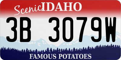 ID license plate 3B3079W