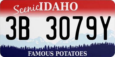 ID license plate 3B3079Y