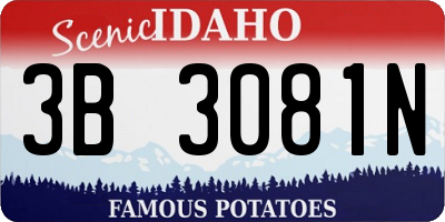 ID license plate 3B3081N