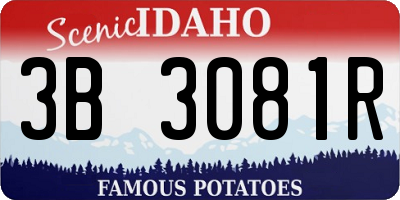 ID license plate 3B3081R