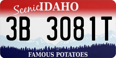 ID license plate 3B3081T