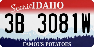 ID license plate 3B3081W