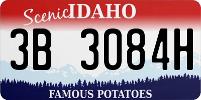 ID license plate 3B3084H