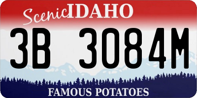 ID license plate 3B3084M
