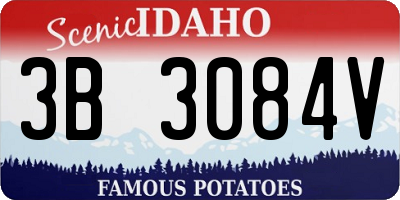 ID license plate 3B3084V