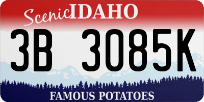 ID license plate 3B3085K