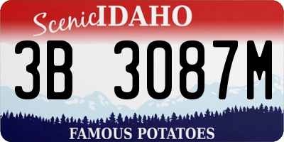 ID license plate 3B3087M