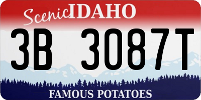 ID license plate 3B3087T