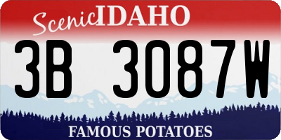 ID license plate 3B3087W
