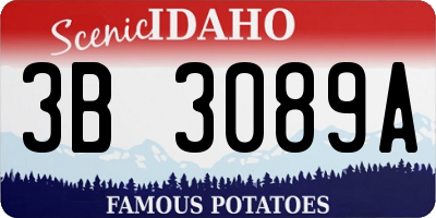 ID license plate 3B3089A