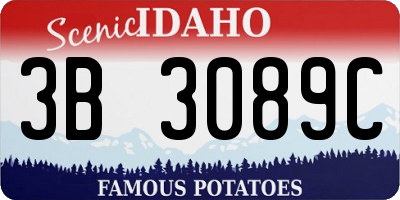 ID license plate 3B3089C
